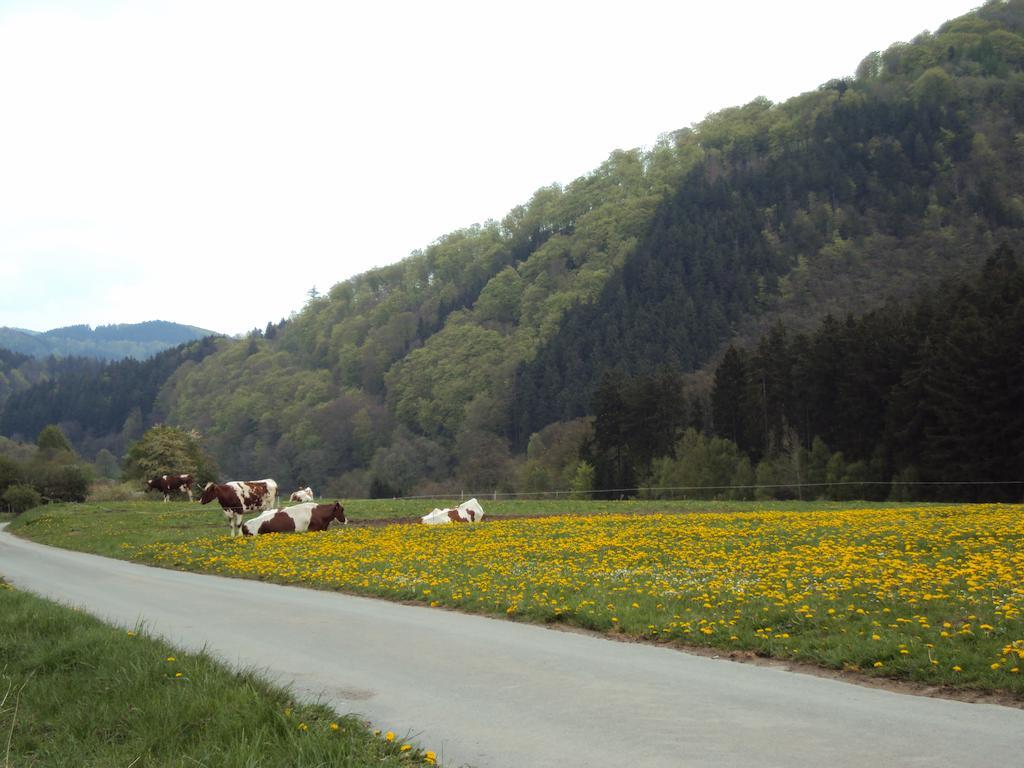 Gasthof Zum Diemeltal Марсберг Экстерьер фото