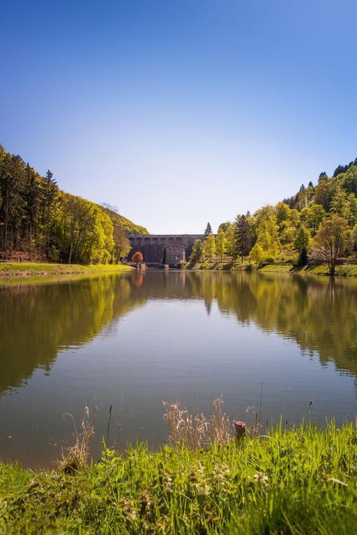 Gasthof Zum Diemeltal Марсберг Экстерьер фото