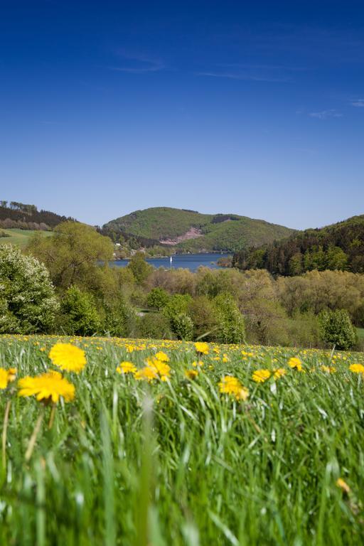 Gasthof Zum Diemeltal Марсберг Экстерьер фото